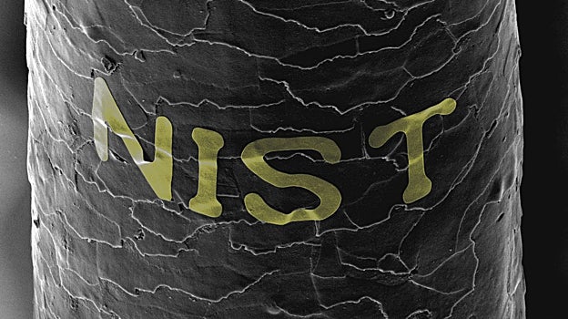 Usando azúcar y jarabe de maíz (es decir, dulces), el investigador Gary Zabow transfirió la palabra «NIST» en letras doradas a un cabello humano, que se muestra en color falso en esta imagen microscópica en blanco y negro