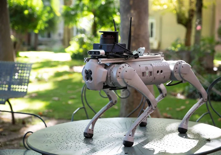 Tefi, el perro guía robótico para invidentes y dependientes hecho en España