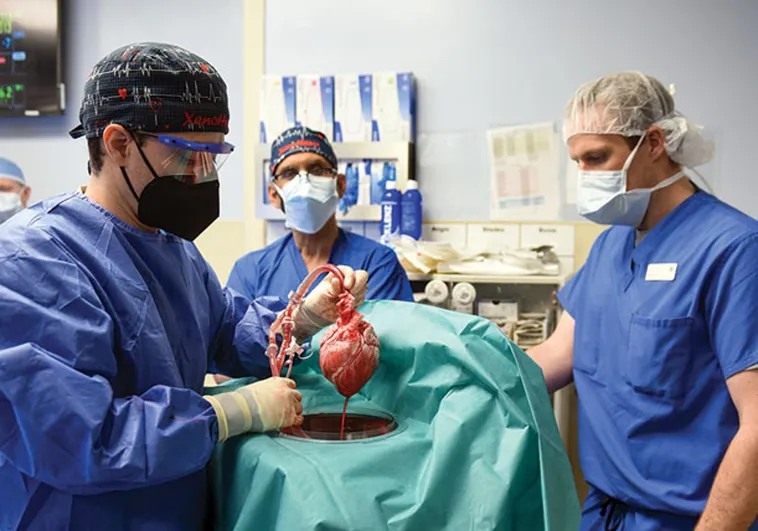 El cirujano que se atrevió a poner un corazón de cerdo a un humano, en el 'top diez' de la ciencia en 2022