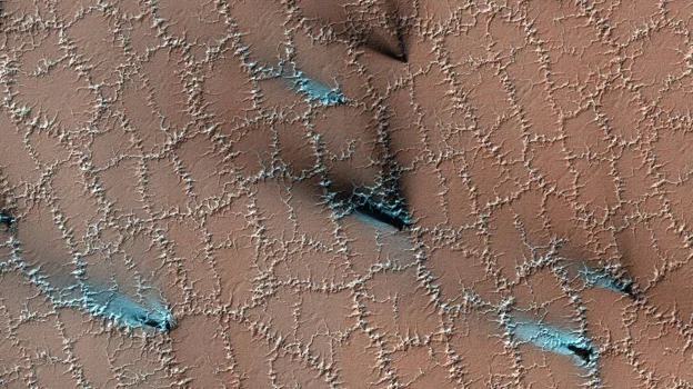 HiRISE capturó esta escena de primavera, cuando el hielo de agua congelado en el suelo dividió el suelo en polígonos. El hielo translúcido de dióxido de carbono permite que la luz del sol brille y caliente los gases que escapan a través de las rejillas de ventilación, liberando abanicos de material más oscuro sobre la superficie (que se muestra en azul en esta imagen en color mejorada)