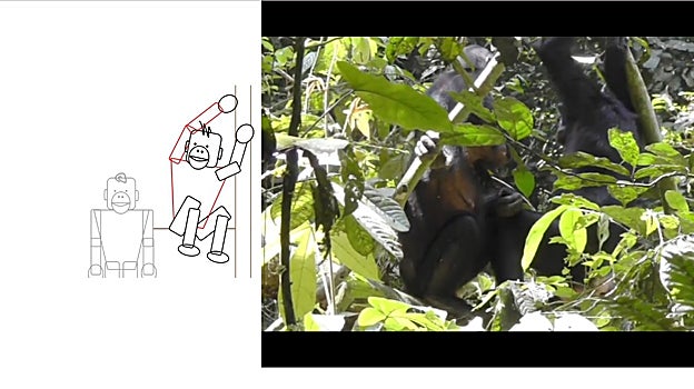 Una imagen del experimento