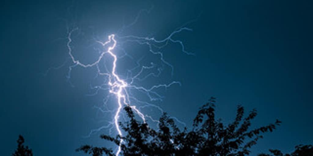 Why do trees attract lightning?