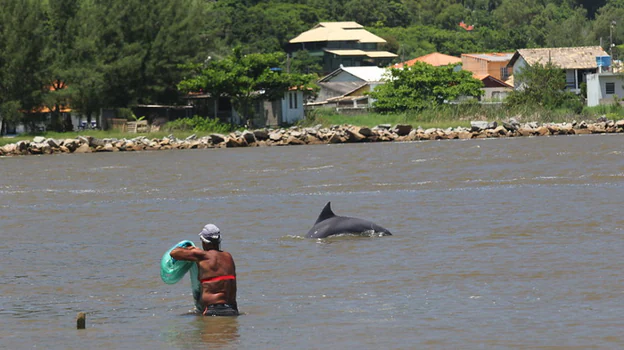 Delfines y pescadores tradicionales cooperan en Laguna