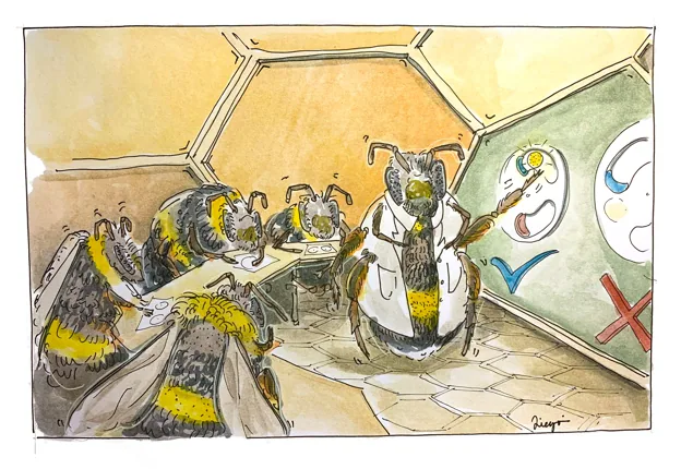 Los abejorros pueden aprender observando a una abeja entrenada demostrando una de las dos formas de resolver un rompecabezas para obtener una recompensa azucarada, y luego copiarlo para resolver el rompecabezas de la misma manera