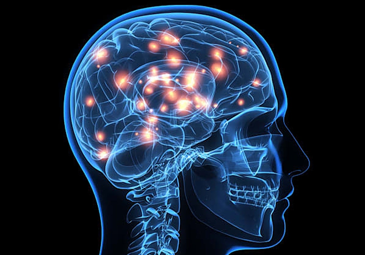 La lectura activa dos redes distintas en el cerebro