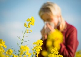 ¿De qué está compuesto el polen que vemos en primavera?