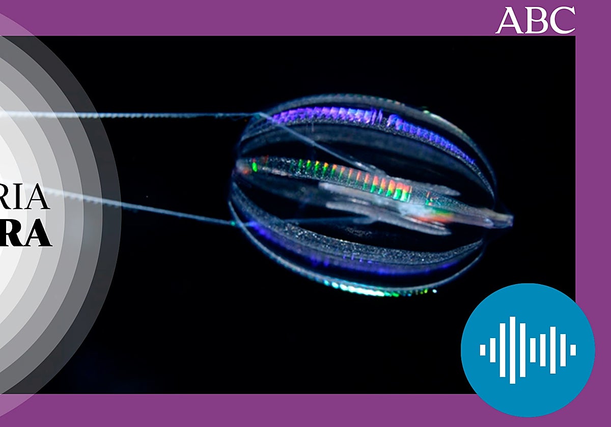 ¿Cómo fueron los primeros animales?