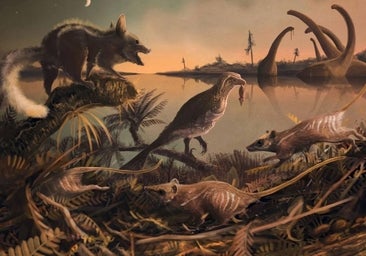 Nuestros primeros antepasados sobrevivieron al asteroide que mató a los dinosaurios