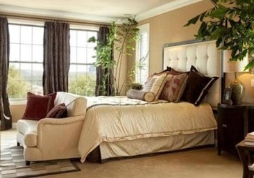 Las plantas en el dormitorio, ¿nos roban el oxígeno mientras dormimos?