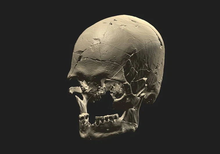 Reconstrucción en 3D de Luzio. La investigación analizó datos genómicos de 34 fósiles de Brasil, incluidos esqueletos más grandes y los famosos montículos de conchas y espinas de pescado construidos en la costa, los sambaquis