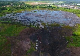 Un misterioso lago de alquitrán en EE.UU. revela por qué allí desapareció la megafauna hace 13.000 años