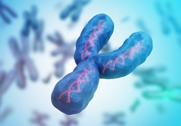 Secuencian, por fin, el cromosoma Y, el último que quedaba por descifrar en el ser humano