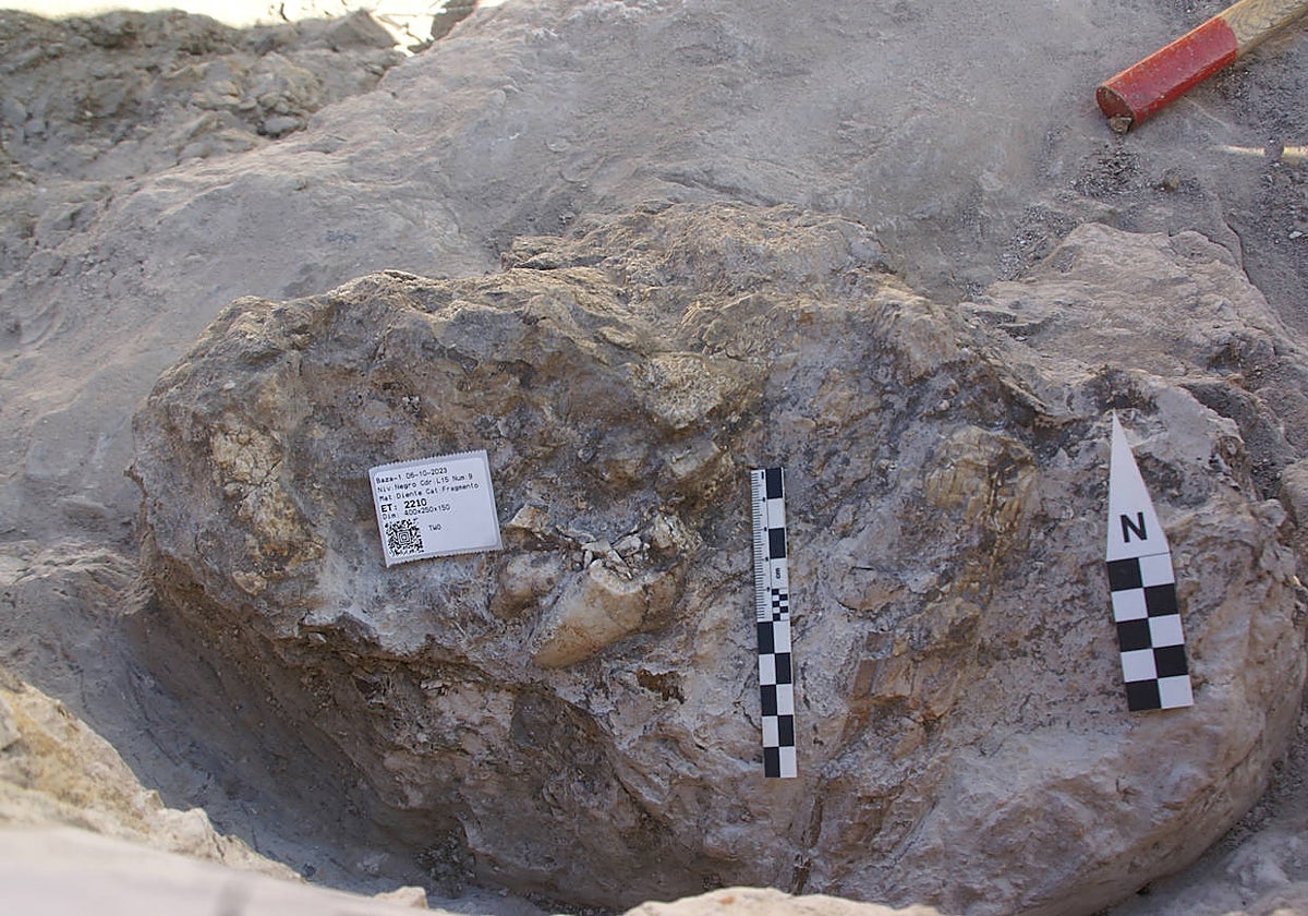 Yacimiento de Baza-1