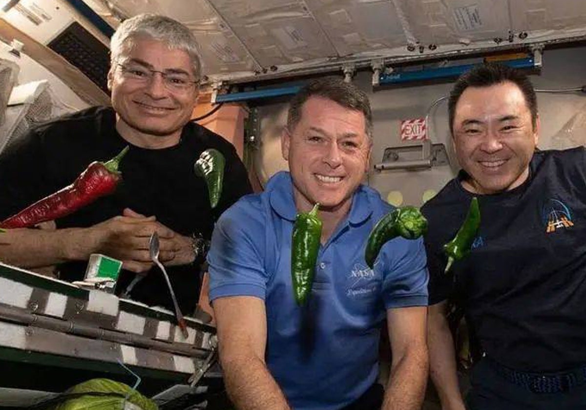 Mark Vande Hei y Shane Kimbrough, de NASA, junto con el astronauta de JAXA Akihiko Hoshide con chiles cultivados en la ISS