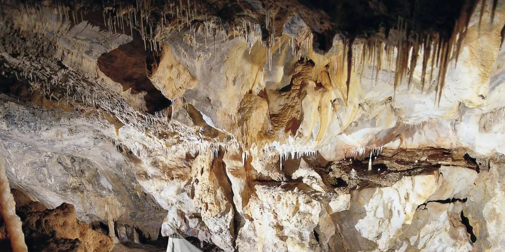 16 800 år gammal paleolitisk hydda upptäckt nära Santander ger inblick i forntida livsstil