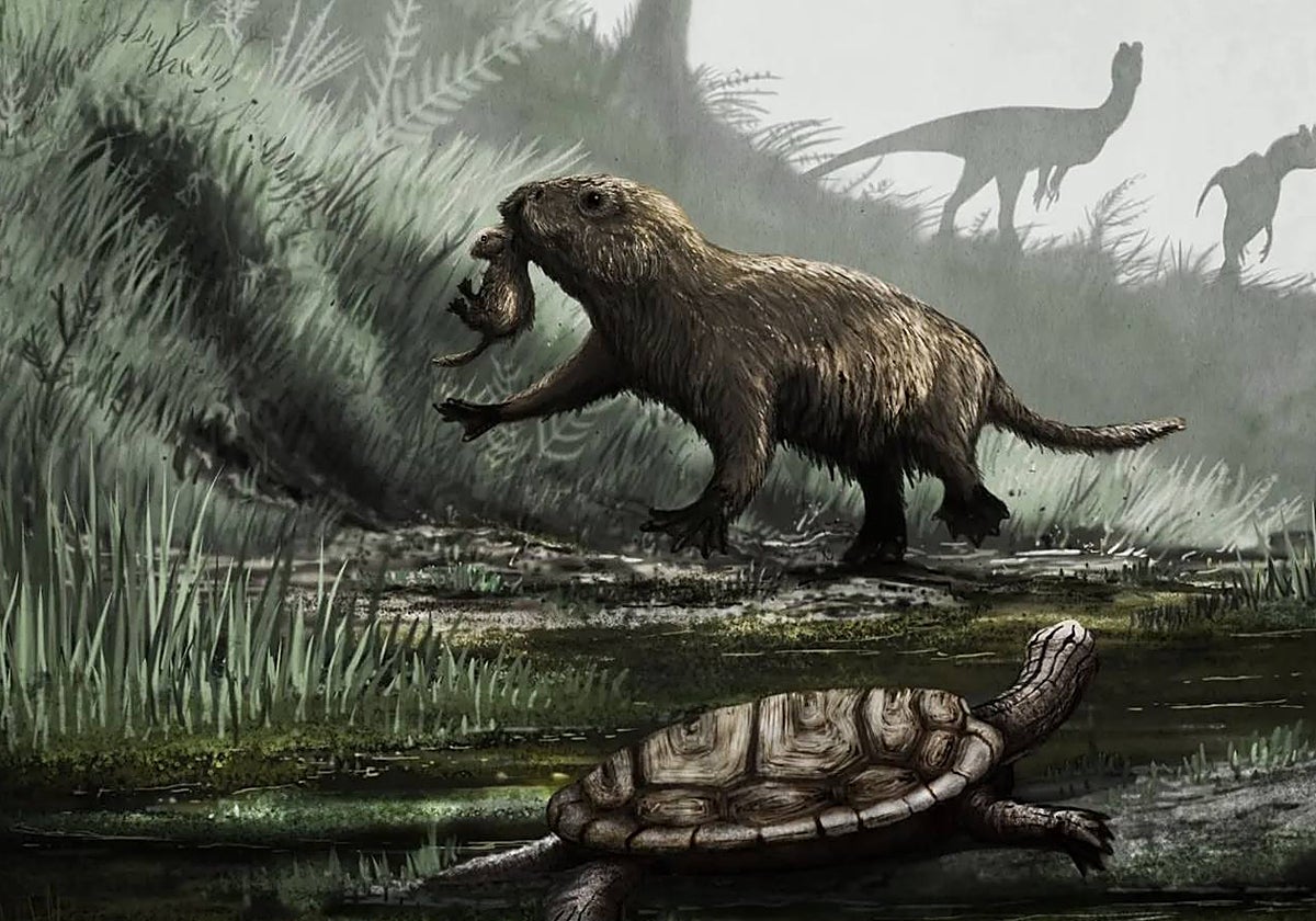 Para poder sobrevivir en la época de los dinosaurios, los mamíferos eran pequeños y de vidas muy cortas