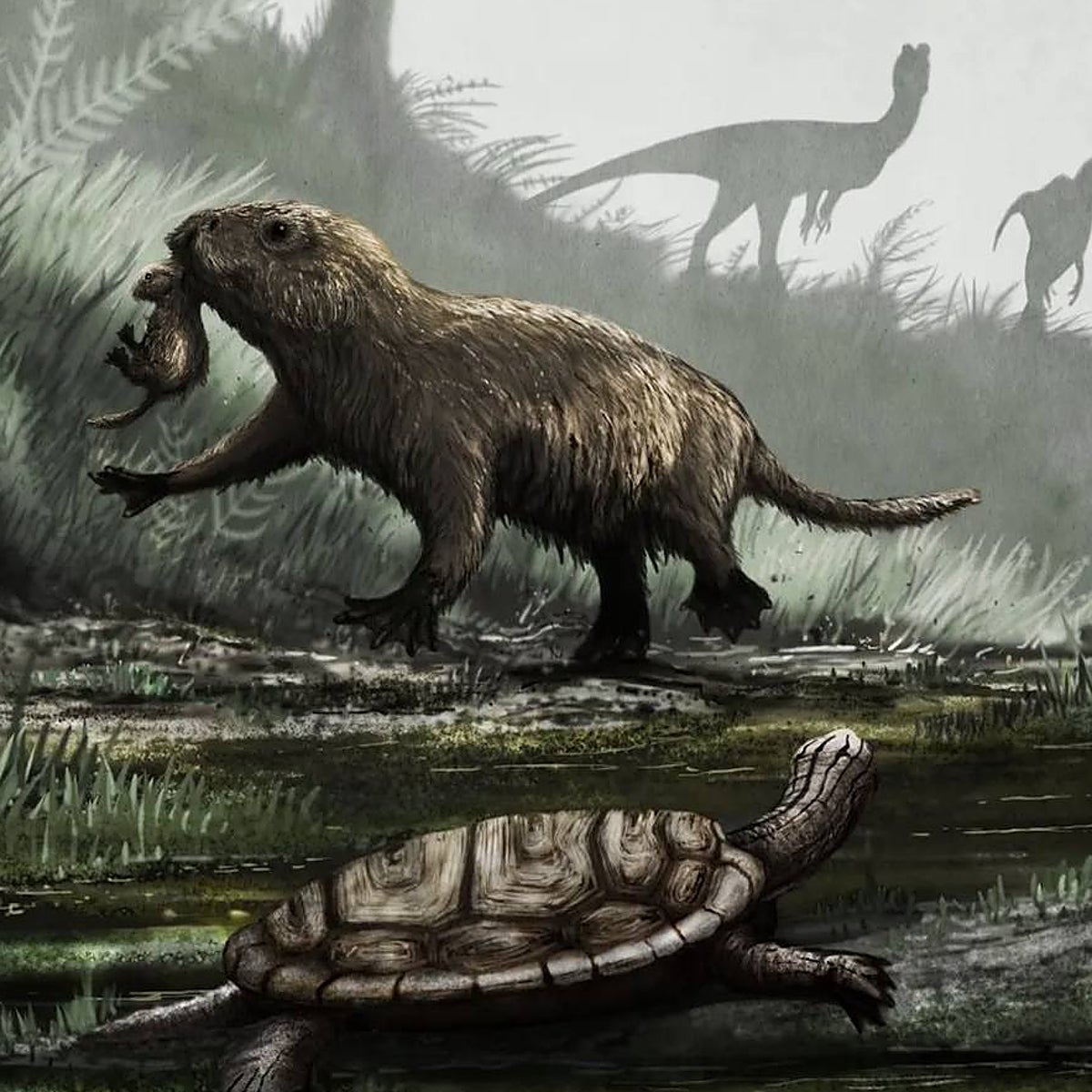 La culpa de que no vivamos 200 años es... de los dinosaurios