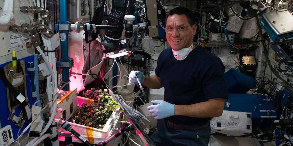 Frank Rubio’nun Uluslararası Uzay İstasyonu’nda kaybettiği domatesler sekiz ay sonra yeniden ortaya çıktı