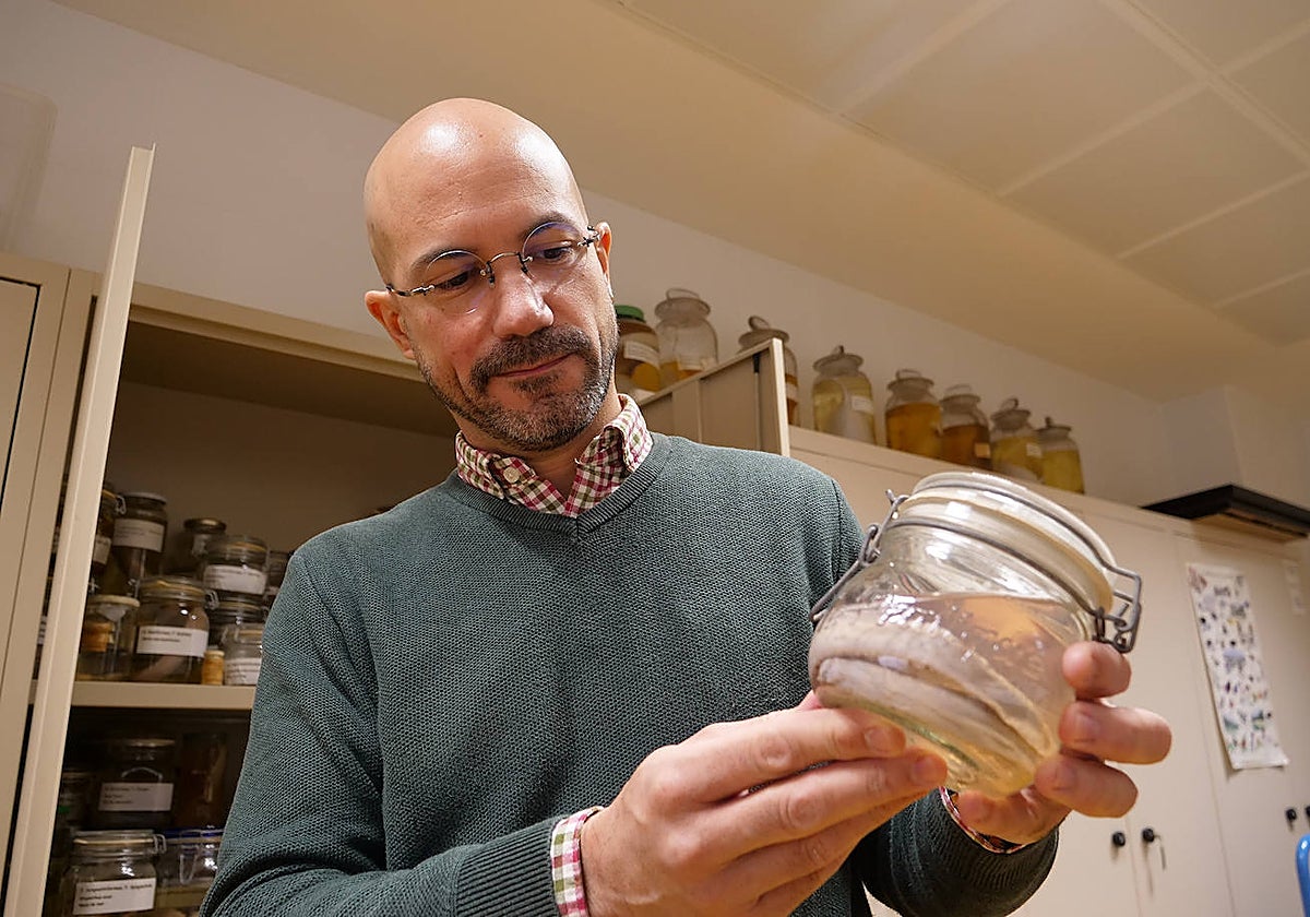 Juan Pascual Anaya, investigador de la Universidad de Málaga (UMA), sostiene un bote con un mixino
