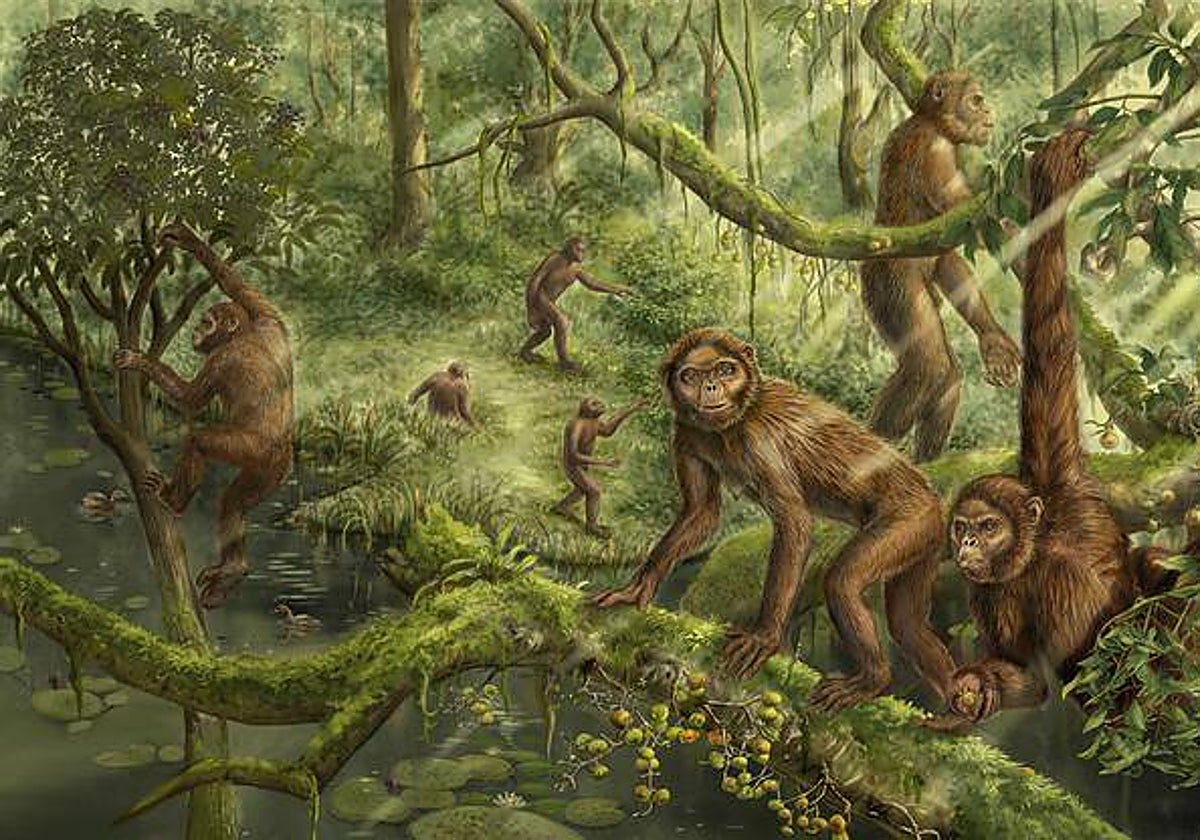 Reconstrucción del comportamiento locomotor y paleoambiente de Lufengpithecus