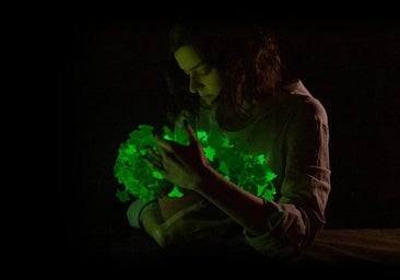 Llega la petunia luciérnaga, la planta modificada para brillar en la oscuridad