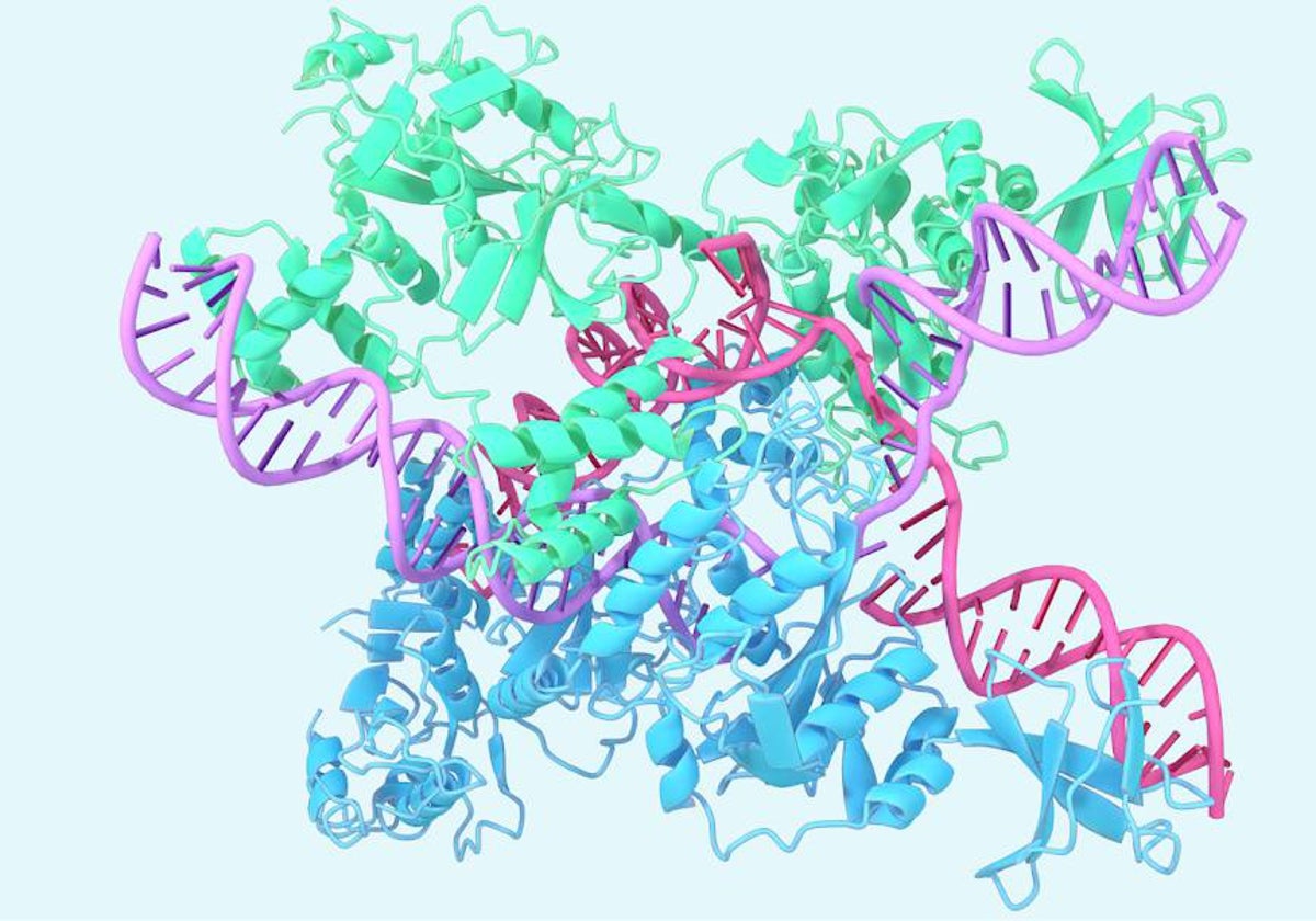 Imagen de proteínas desarrolladas por AlphaFold