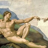 Uno de cada cuatro europeos no cree en la teoría de la evolución