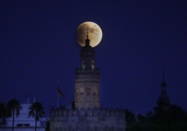 Eclipse lunar de marzo 2024: horario y dónde ver la Luna de Gusano desde España