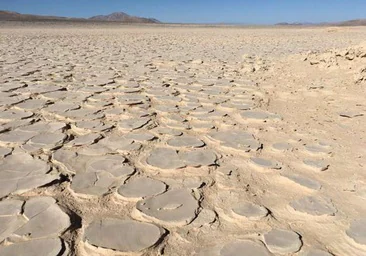 Hallan una 'biosfera oculta' bajo el desierto más árido del mundo