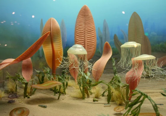 Recreación de la fauna de Ediacara, hace alrededor de 600 millones de años