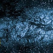 ¿Qué le pasaría a la Tierra si desapareciera la materia oscura del Universo?