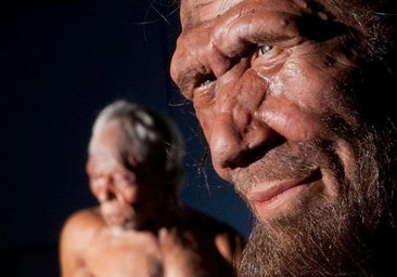 ¿Podrían los neandertales ganarnos en los Juegos Olímpicos?