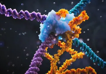 Paso de gigante en ingeniería genética: hallan el modo de 'programar' el ADN a voluntad