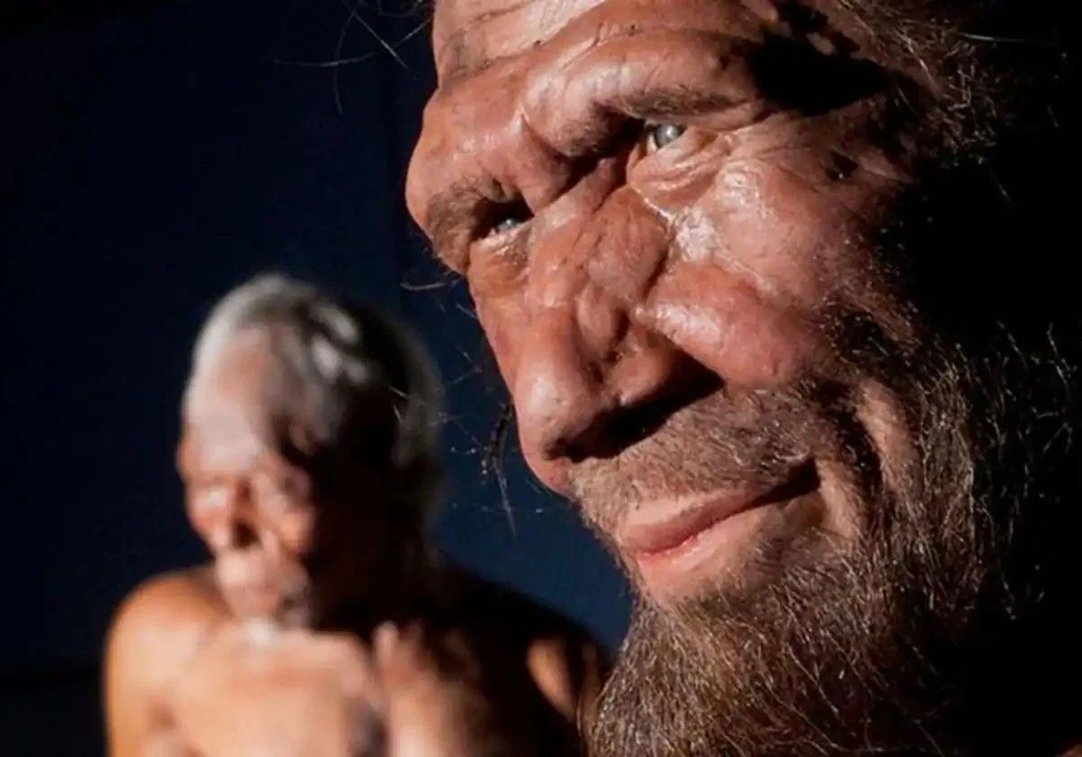 The picture shows a Neanderthal and a modern man in the background.