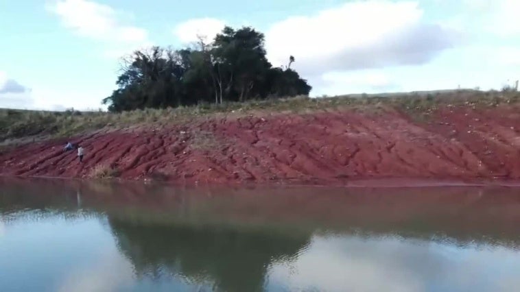 Las inundaciones en Brasil revelaron un fósil de dinosaurio de 233 millones de años
