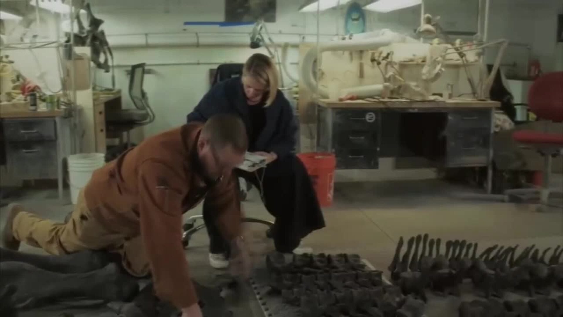 Esqueleto de Stegosaurus &#039;Apex&#039; se vende a precio récord por 44,6 Millones en Nueva York