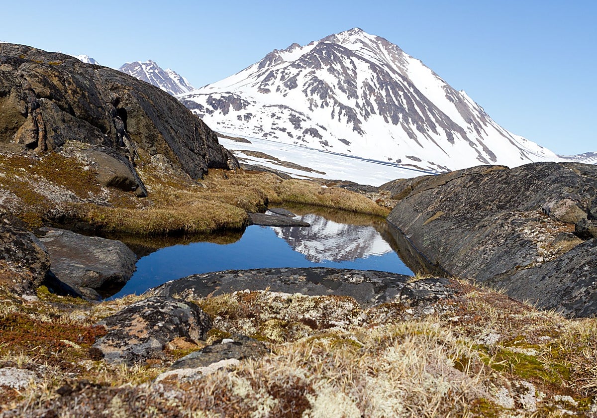 Un paisaje rocoso con plantas de tundra cerca de la costa oriental de Groenlandia, similar al que pudo haber también en el interior de la isla cuando su enorme capa de hielo se derritió