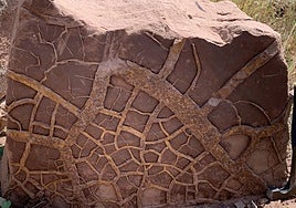 La culpa fue de El Niño: así provocó este fenómeno climático la mayor extinción masiva en la historia de la Tierra