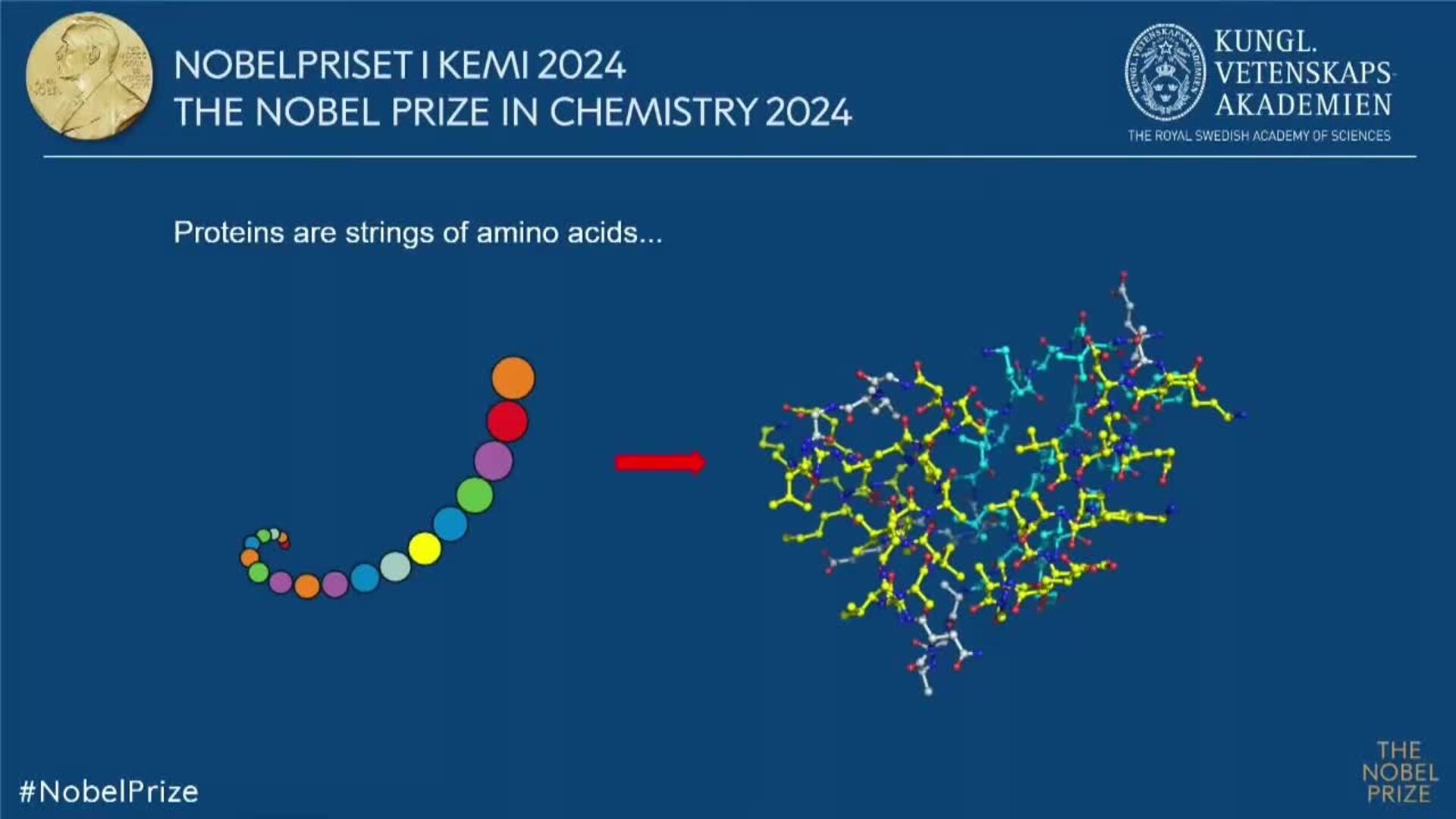 Nobel de Química por revelar códigos de proteínas mediante inteligencia artificial