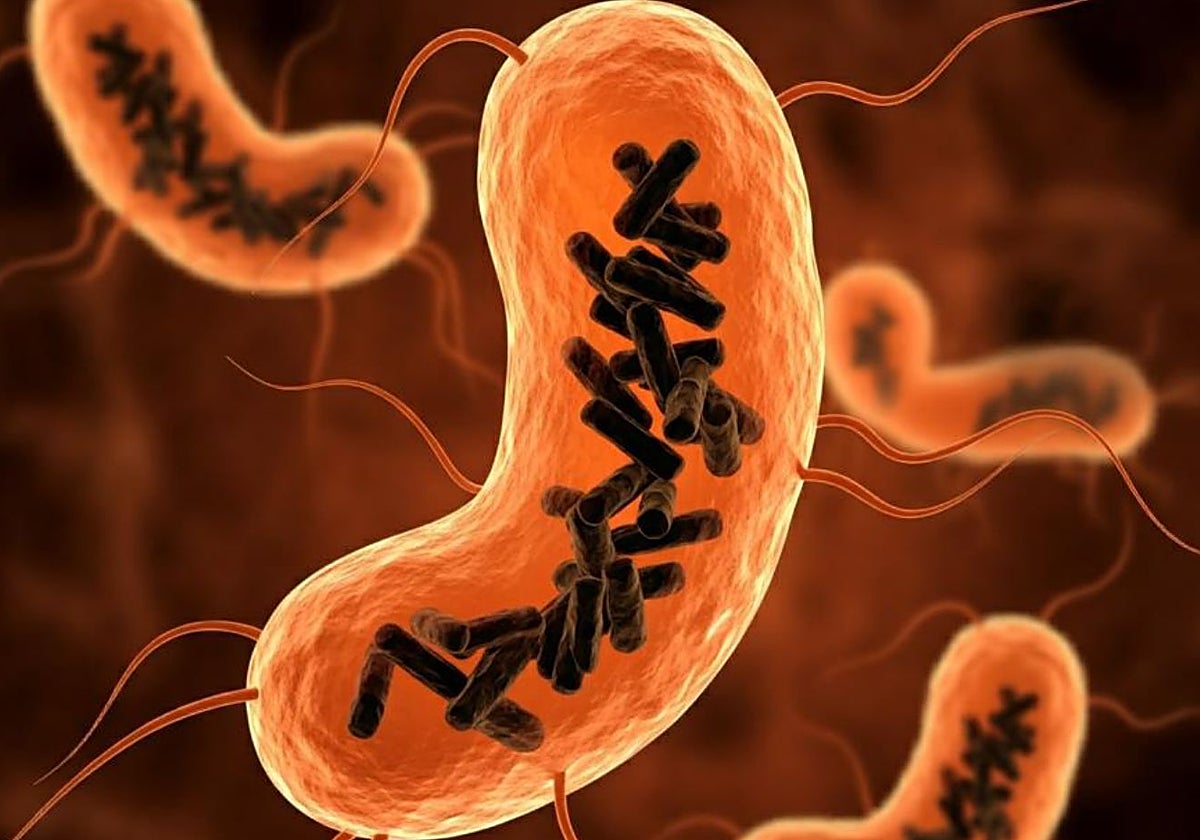 Recreación de bacterias intestinales (células en color naranja) infectadas por Obeliscos (varillas negras)