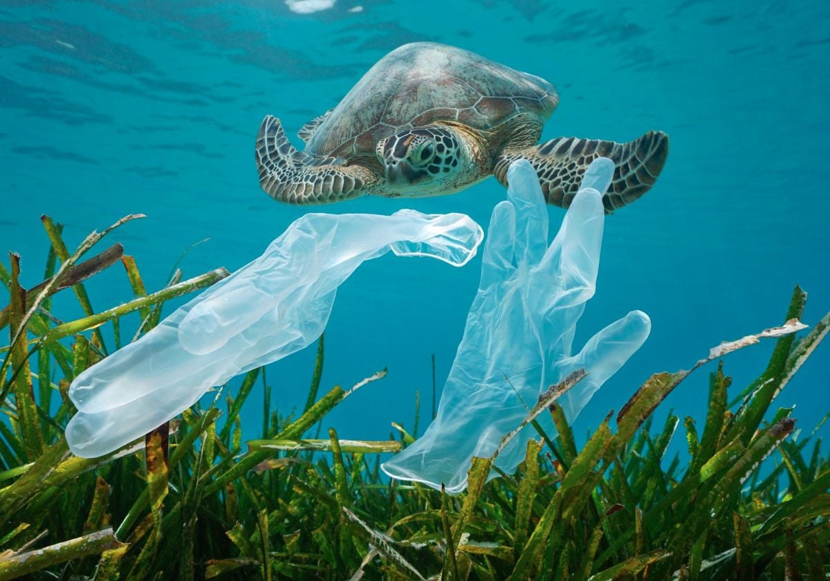 Guantes de plástico en el fondo marino