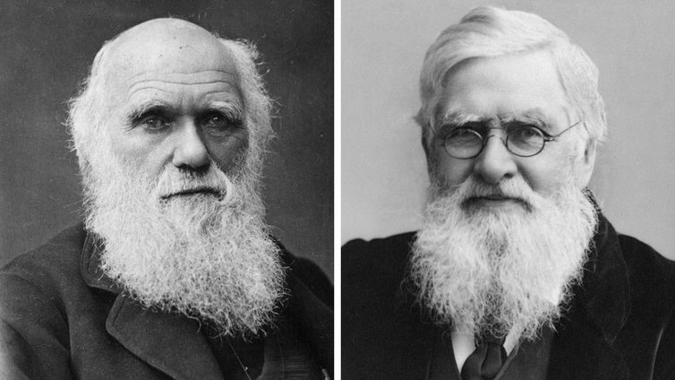 El dilema de Darwin cuando recibió la carta de otro científico que también había descubierto la evolución