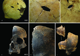 Violencia extrema, desmembramientos, canibalismo... Así fue la peor matanza prehistórica de Gran Bretaña hace 4.000 años