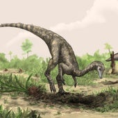 En la ilustración, un Nyasasaurus, que podría ser el dinosaurio más antiguo conocido, o bien un pariente cercano de los primeros dinosaurios