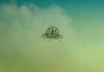 Hallan un ecosistema 'imposible' en el fondo de la fosa de las Marianas, a 11 kilómetros de profundidad