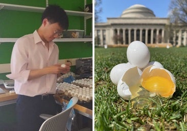 Físicos del MIT concluyen que los huevos se rompen más si caen en vertical