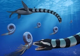 Identificado un extraño monstruo marino con un cuello de 12 metros y dientes como una trituradora