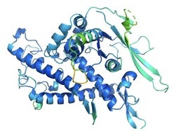 La revolución de las proteínas dinámicas: cómo la IA está desbloqueando los secretos de la vida