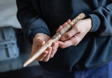 Las primeras armas de hueso de ballena, fabricadas hace 20.000 años en el Golfo de Vizcaya