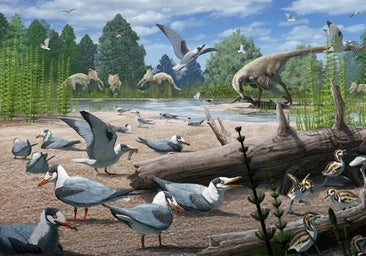 Hallan pruebas de que las aves ya anidaban en el Ártico junto a los dinosaurios